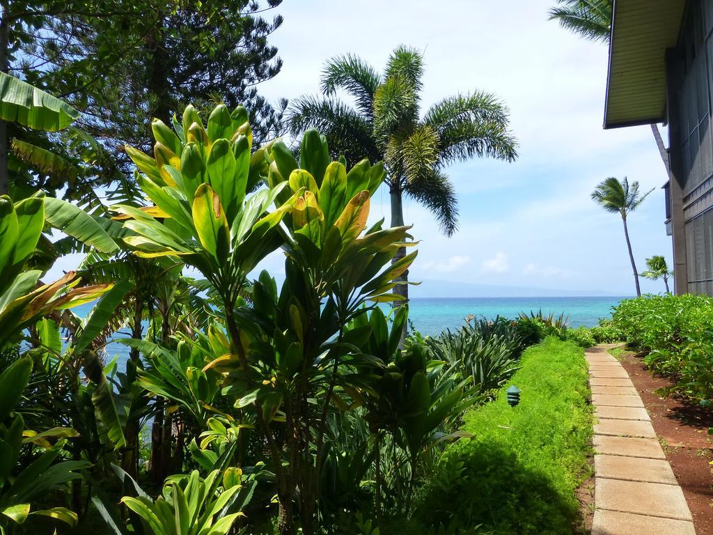 Mahina Surf 220 By Redawning Aparthotel ลาไฮนา ภายนอก รูปภาพ